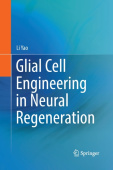 Glial Cell Engineering in Neural Regeneration