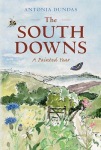 South Downs