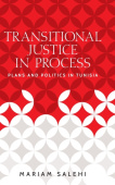 Transitional Justice in Process