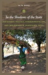 In the Shadows of the State