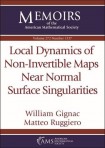 Local Dynamics of Non-Invertible Maps Near Normal Surface Singularities