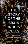 Story of the Brain in 10 Cells