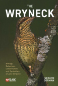 Wryneck