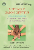 Meddyg y Galon Glwyfus - Gofal am Iechyd Meddwl a Chymwynas Fawr Dr David Enoch