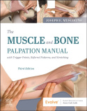 Muscle and Bone Palpation Manual with Trigger Points, Referral Patterns and Stretching
