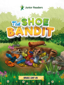 Shoe Bandit