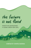 Future Is Not Fixed