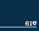 61