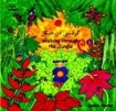 Walking through the Jungle (Farsi & English)