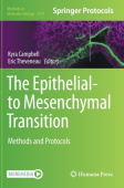 Epithelial-to Mesenchymal Transition