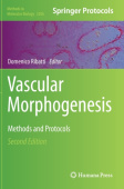 Vascular Morphogenesis