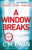 Window Breaks