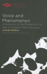 Voice and Phenomenon