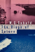 Rings of Saturn