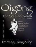Qigong Secret of Youth