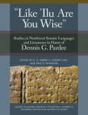 'Like 'Ilu Are You Wise'