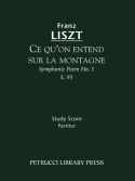 Ce qu'on entend sur la montagne, S.95