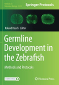 Germline Development in the Zebrafish
