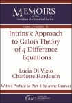 Intrinsic Approach to Galois Theory of $q$-Difference Equations