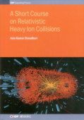 Short Course on Relativistic Heavy Ion Collisions