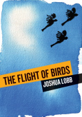 Flight of Birds