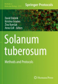 Solanum tuberosum