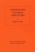 Generalized Feynman Amplitudes
