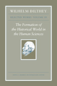 Wilhelm Dilthey: Selected Works, Volume III