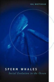 Sperm Whales