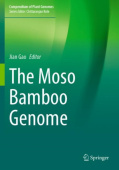 Moso Bamboo Genome