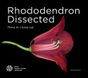 Rhododendron Dissected