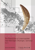 Pleistocene of Untermassfeld near Meiningen (Thuringen, Germany)