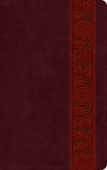 ESV Large Print Personal Size Bible, Red Letter