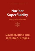 Nuclear Superfluidity