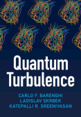 Quantum Turbulence