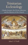Trinitarian Ecclesiology