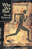 Why We Run