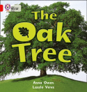 Oak Tree