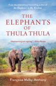 Elephants of Thula Thula