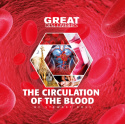 circulation of blood