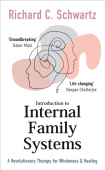 Introduction to Internal Family Systems