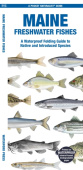 Maine Freshwater Fishes