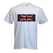 Mycotoxins