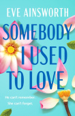 Somebody I Used to Love