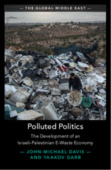Polluted Politics
