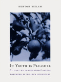 In Youth Is Pleasure