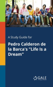 Study Guide for Pedro Calderon De La Barca's "Life Is a Dream"