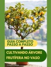 Cultivando Arvore Frutifera Em Vaso