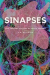Sinapses