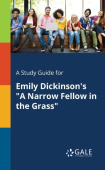 Study Guide for Emily Dickinson's "A Narrow Fellow in the Grass"